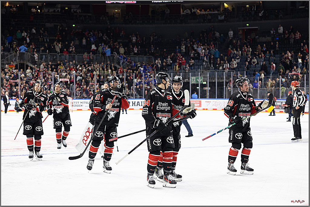 PENNY DEL 1; Kölner Haie - Fischtown Pinguins; Köln, 15.11.2024